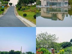 -东莞植物园