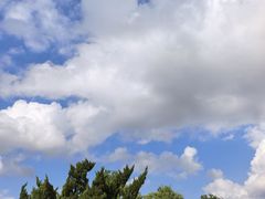-武昌江滩