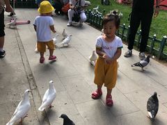-西安曲江寒窑遗址公园