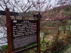 -庐山风景区花径公园