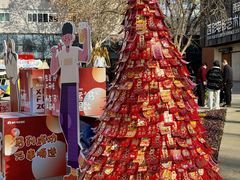 -西安电影制片厂