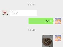 -正宗忘不了老鹅(梅岭店)