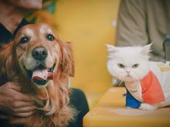 -1013 PET SHOP 宠物商店(近铁城市广场店)