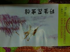 -上海大自然野生昆虫馆