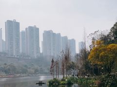 -重庆彩云湖湿地公园