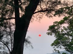 -太平山顶