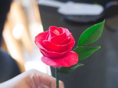 -瓷语堂(上海五维空间创意园店)