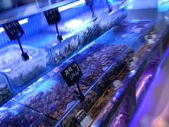 -渔民船说·北塘海鲜·天津菜·海肠捞饭(北塘古镇店)