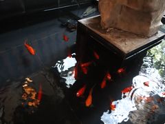 -旅马餐厅(茅家埠店)