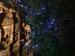 老虎石公园-老虎石海上公园