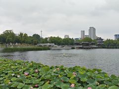 -葛仙湖公园