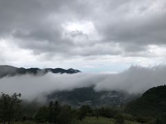 -武陵山森林公园