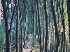 -东钱湖旅游度假区