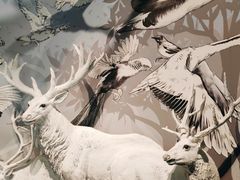 -中国湿地博物馆