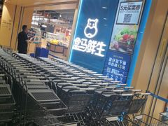门面-盒马鲜生(和谐广场店)