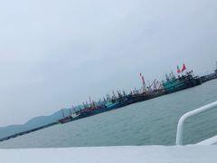 -花岙岛