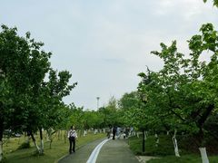 -国际非物质文化遗产博览园