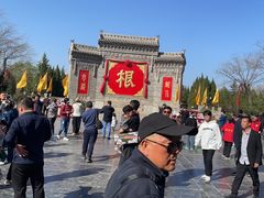 -大槐树寻根祭祖园