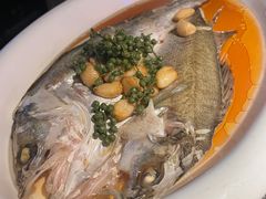 葱椒鲈鱼-绿茶餐厅(同成街华联店)