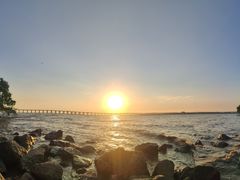 -宝安西湾红树林湿地公园