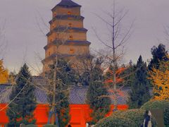 -回坊马二饺子馆