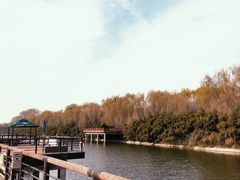 -西安汉城湖景区