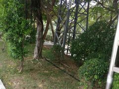 -金鸡岭桥头公园