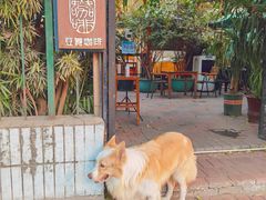 -豆舞咖啡(民乐路店)
