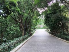 -福建鲤鱼洲酒店