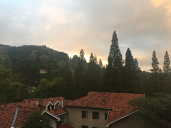 -马克咖啡The Moganshan Lodge