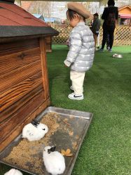 -萌宠亲子动物乐园(槐房万达店)