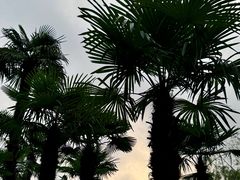 -黄兴公园
