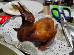 -石岐乳鸽村(南海第三分店)