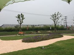 -菊园百果园