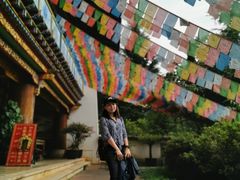 -云南民族村