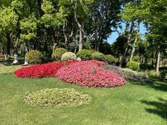 -春花秋色城市公园