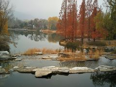 -小吊梨汤·北京菜(香山店)