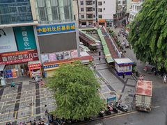 -港华水果街(港华广场店)