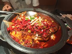 -探鱼·鲜青椒爽麻烤鱼(领展购物广场店)