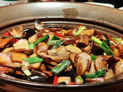 -云海肴·汽锅鸡·云南代表菜(美罗城店)