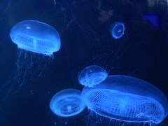 -晚归月亮湾私家菜(临邑路店)