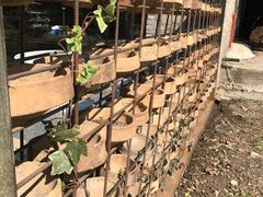 -瓷语堂(上海五维空间创意园店)