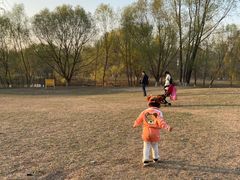 -长白岛森林公园