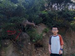 -大姆山草场