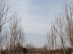 -淇河金沙滩