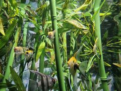 -常州海昌海洋探索馆