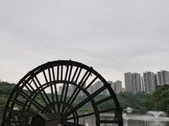 -重庆彩云湖湿地公园