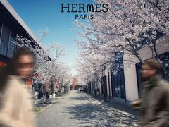 -智慧湾科创园