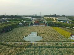 -广州花之恋城堡酒店