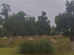 -汉长安城未央宫国家考古遗址公园